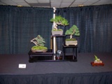 Annual Show 2011 - 15 2011